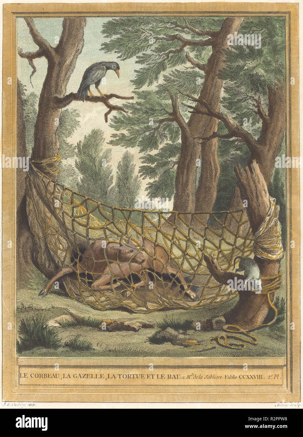 Page 3 Tortue High Resolution Stock Photography And Images Alamy