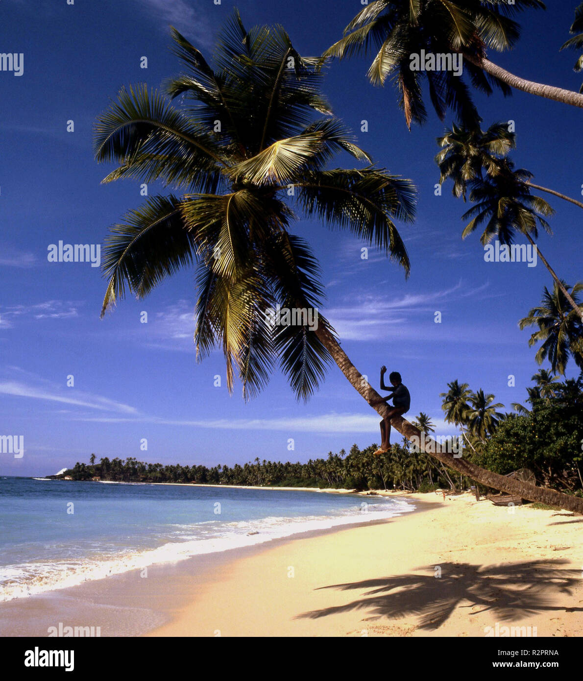 palm beach Stock Photo