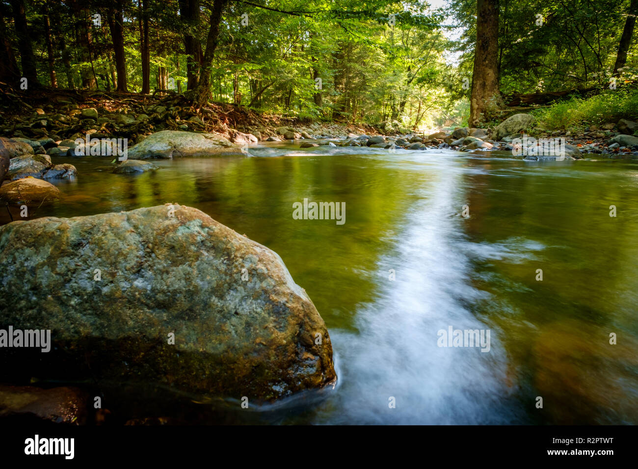 Summer day forest stream water with motion blur waves Stock Photo - Alamy