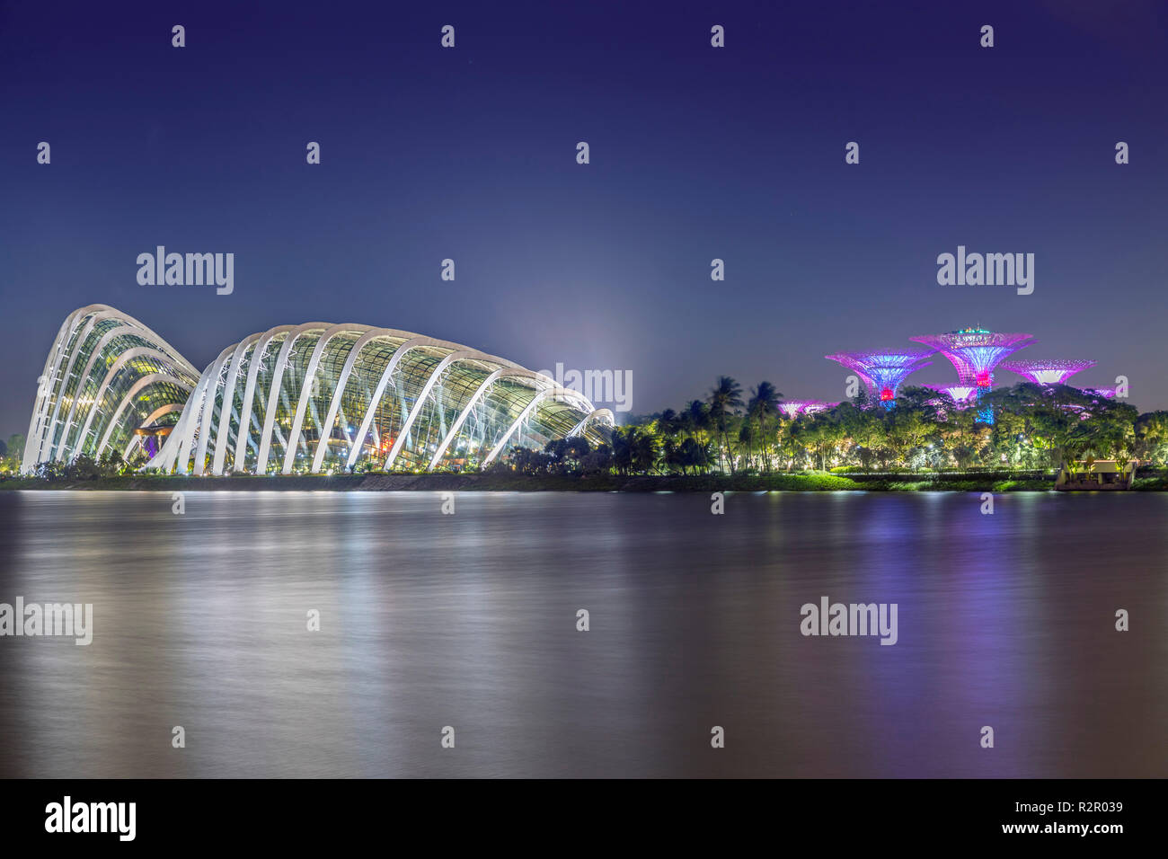 Singapore, Gardens by the Bay, OCBC ATM - Gardens (The Canopy) and illuminated Supertrees, night view Stock Photo