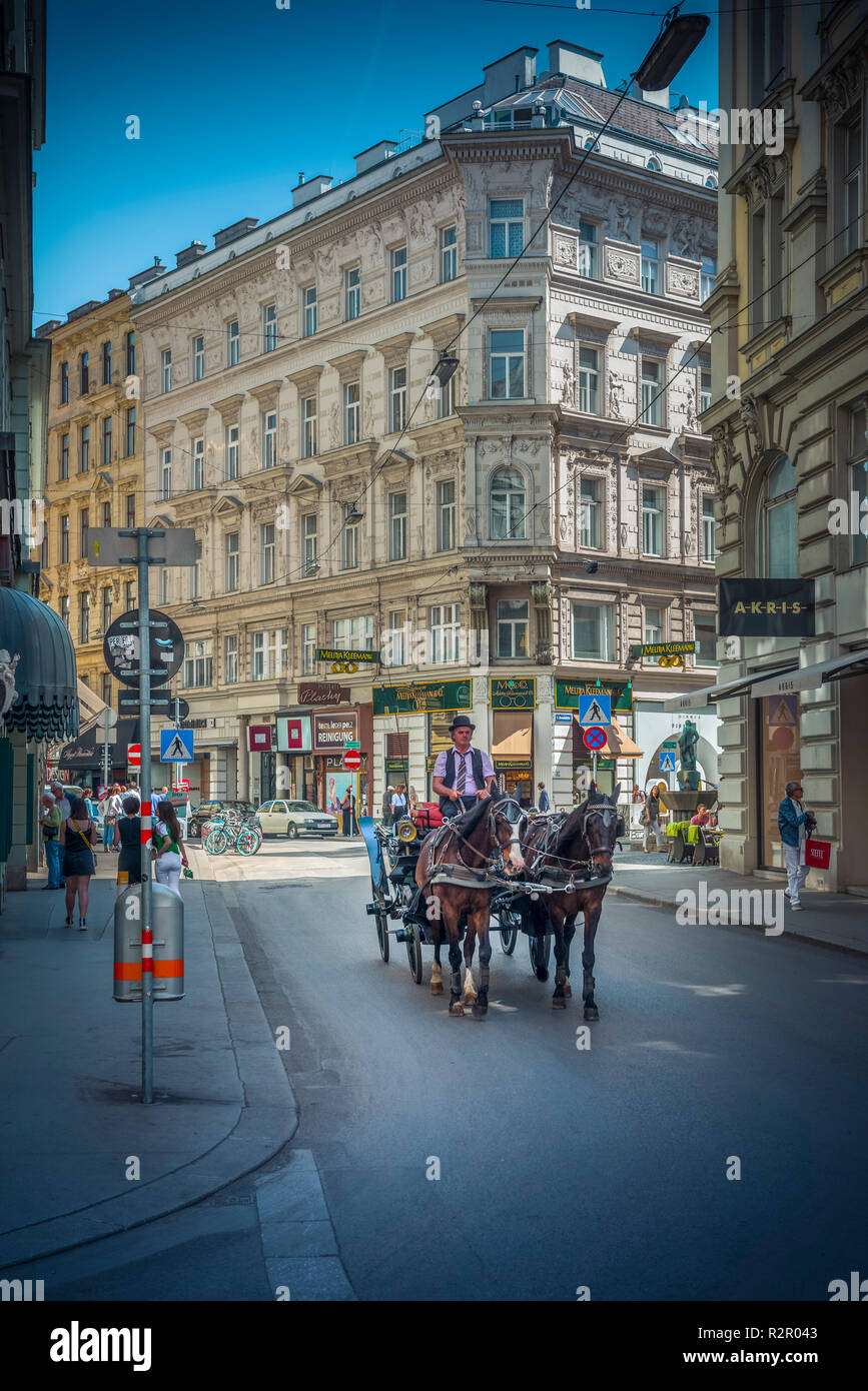 Europe, Austria, Vienna, Innere Stadt District, city centre, Tuchlauben, carriage, Fiaker Stock Photo