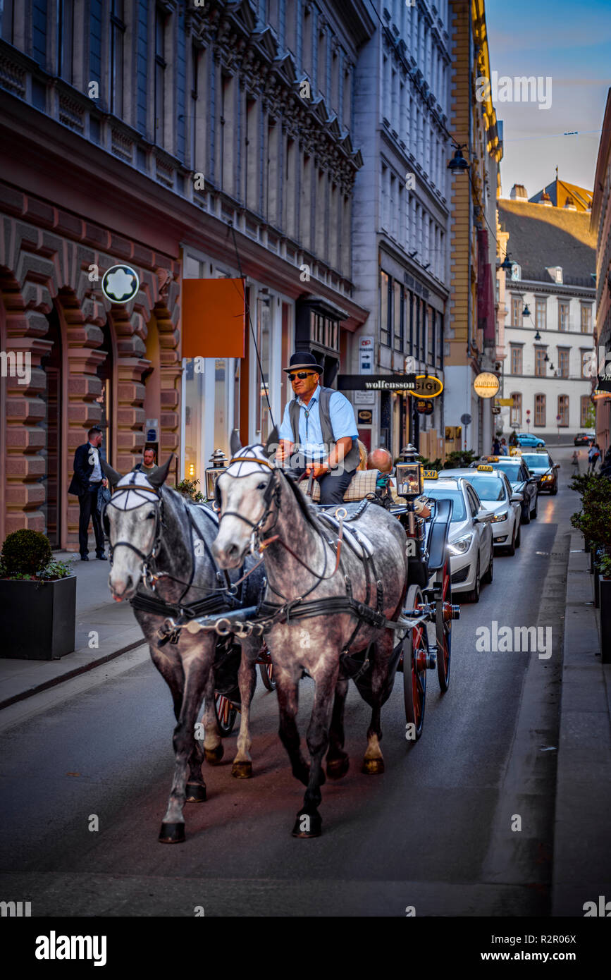 Europe, Austria, Vienna, Innere Stadt District, city centre, Habsburgergasse, carriage, Fiaker Stock Photo