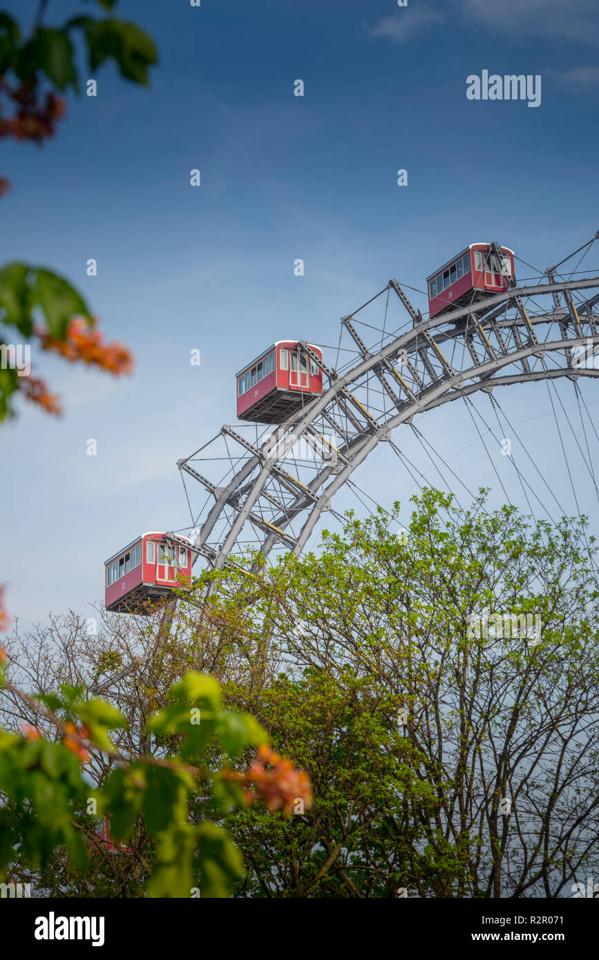 Europe, Austria, Vienna, Prater, Ferris wheel, park Stock Photo