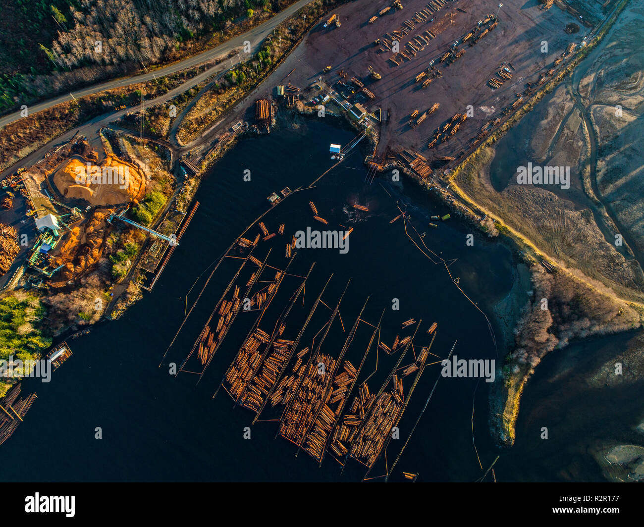 Aerial view of logs in the water at Beaver Cove Log Sort near Telegraph Cove, Northern Vancouver Island, British Columbia, Canada Stock Photo