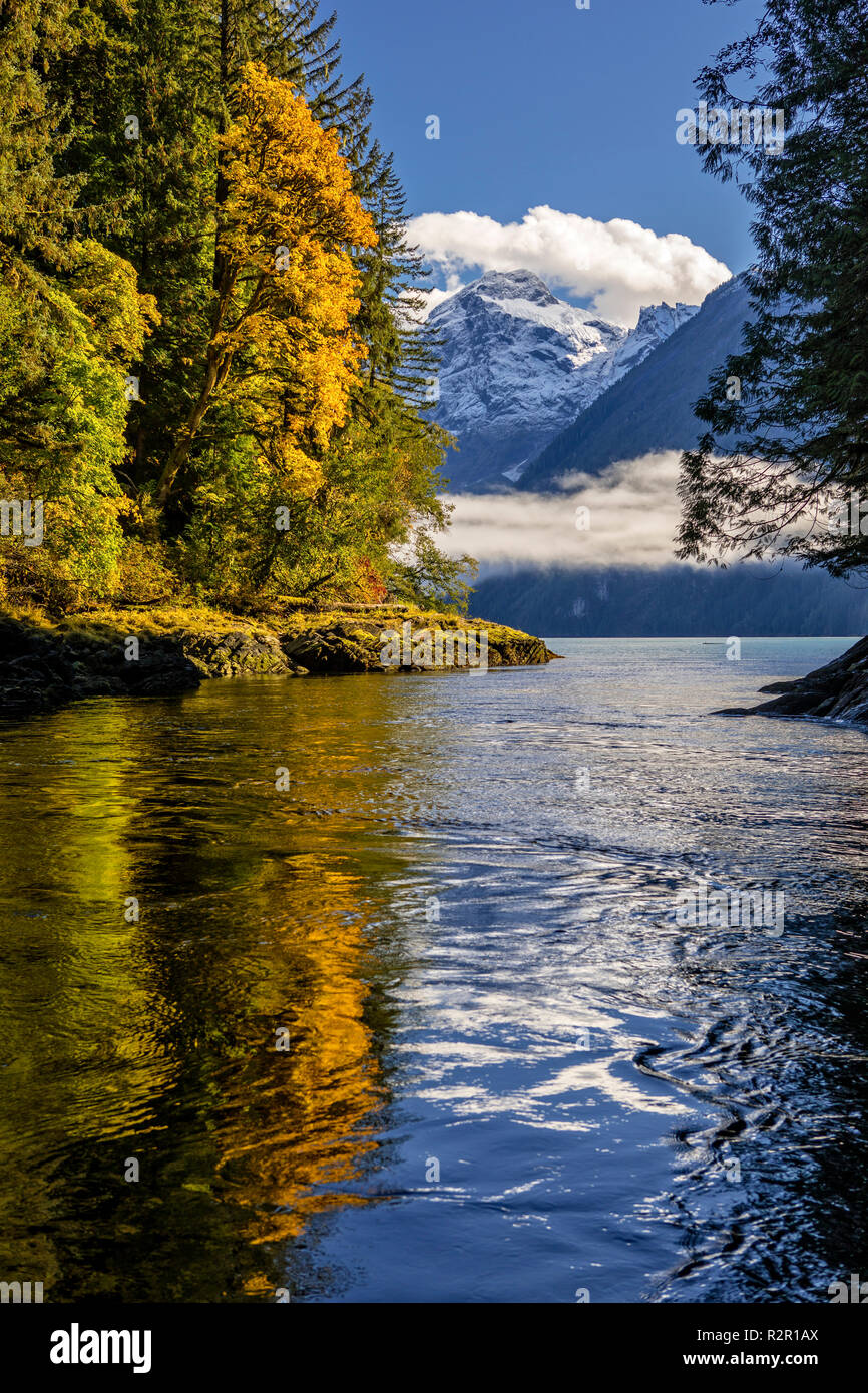 Autumn colors and fog in Knight Inlet, Glacier Bay, British Columbia, Canada Stock Photo