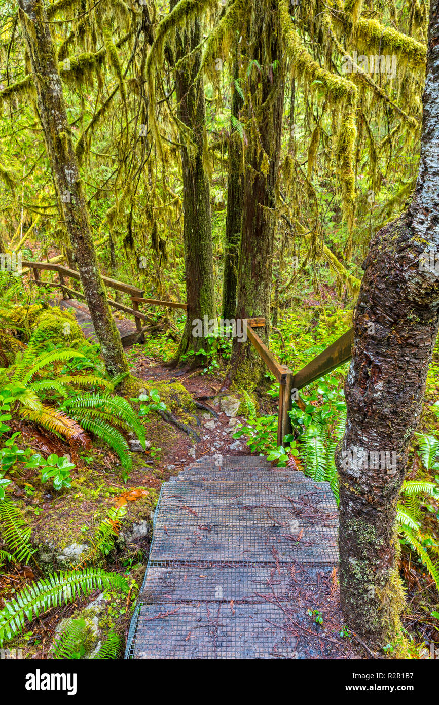 Trail through rainforest to Huson Caves, northern Vancouver Island, British Columbia, Canada Stock Photo