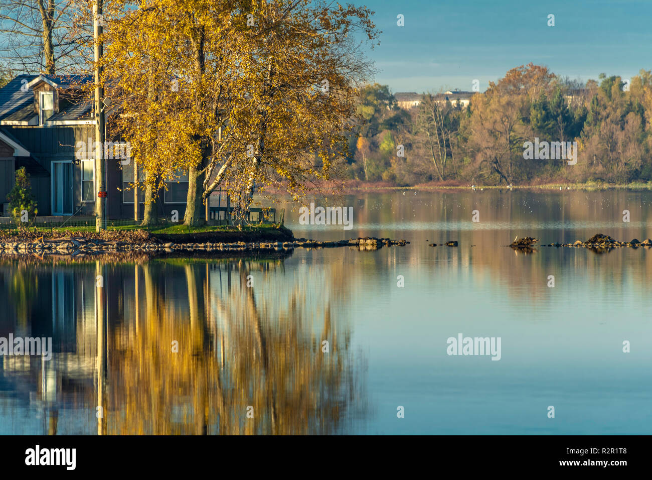 Homes For Sale On Puslinch Lake Ontario at Anne Richardson blog