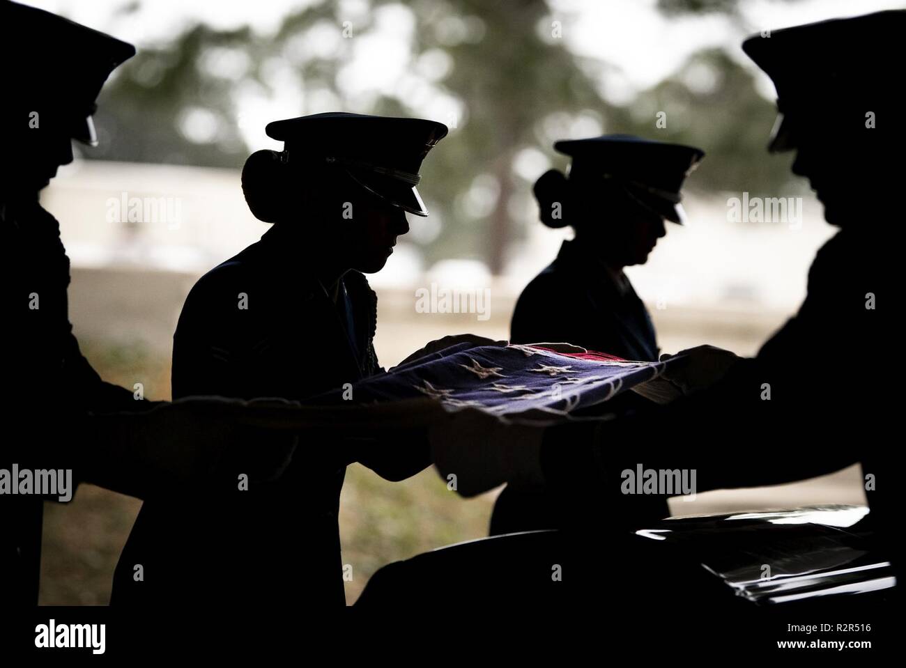 flag folding procedure