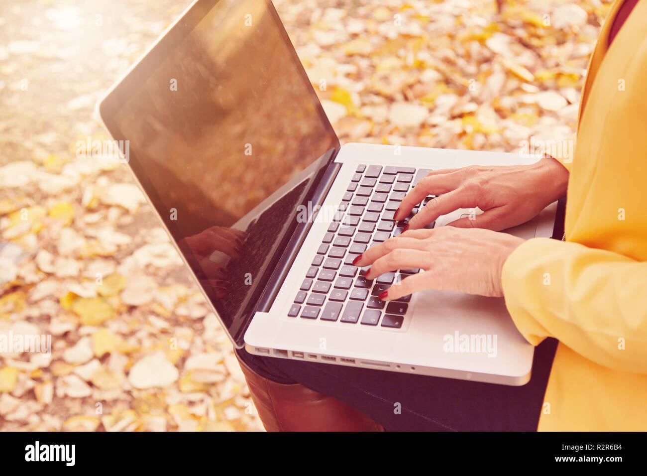 Girl working on a laptop in the park Sunny autumn day in the park. Stock Photo