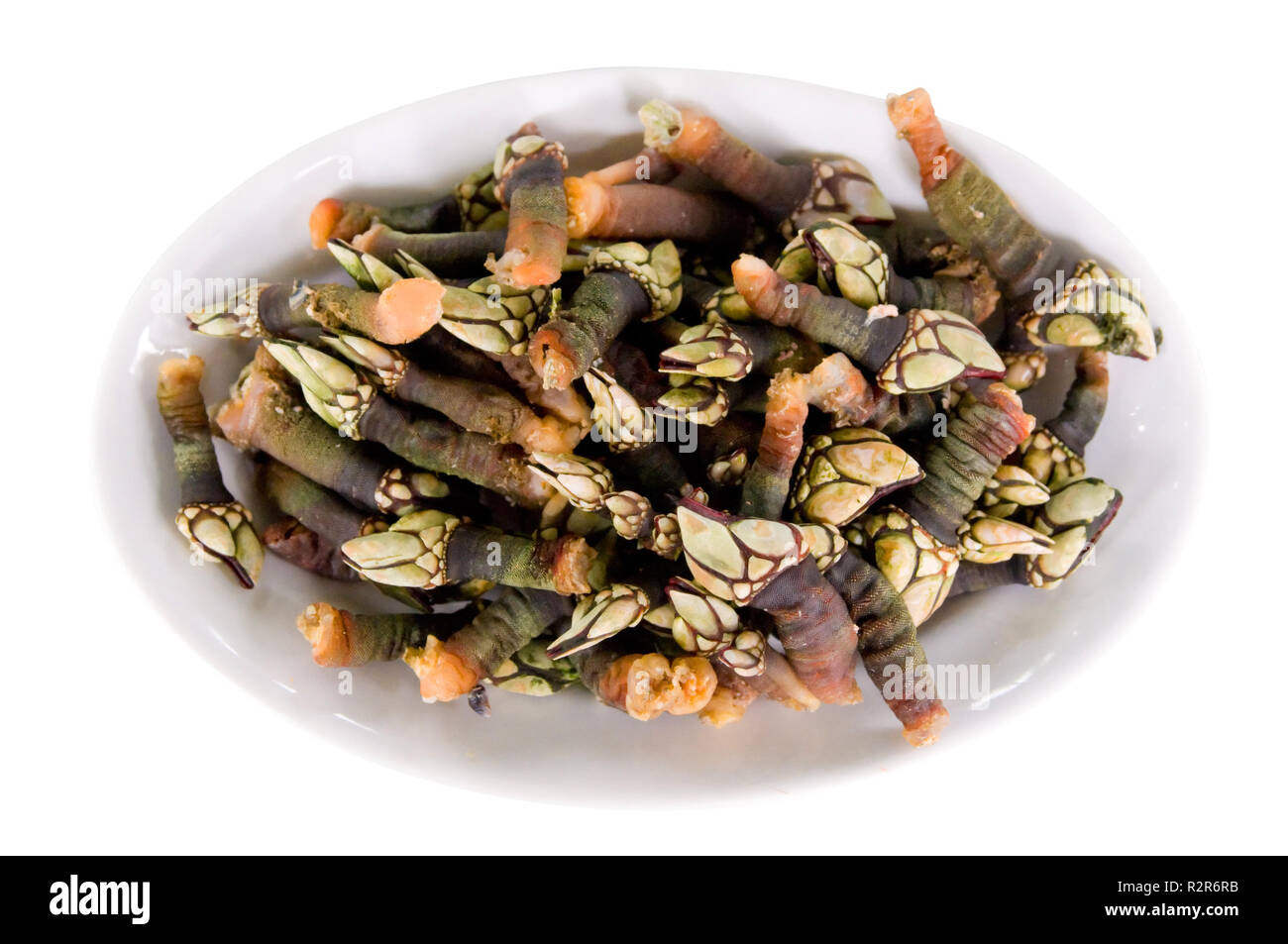 a tray with just cooked fresh barnacles Stock Photo - Alamy