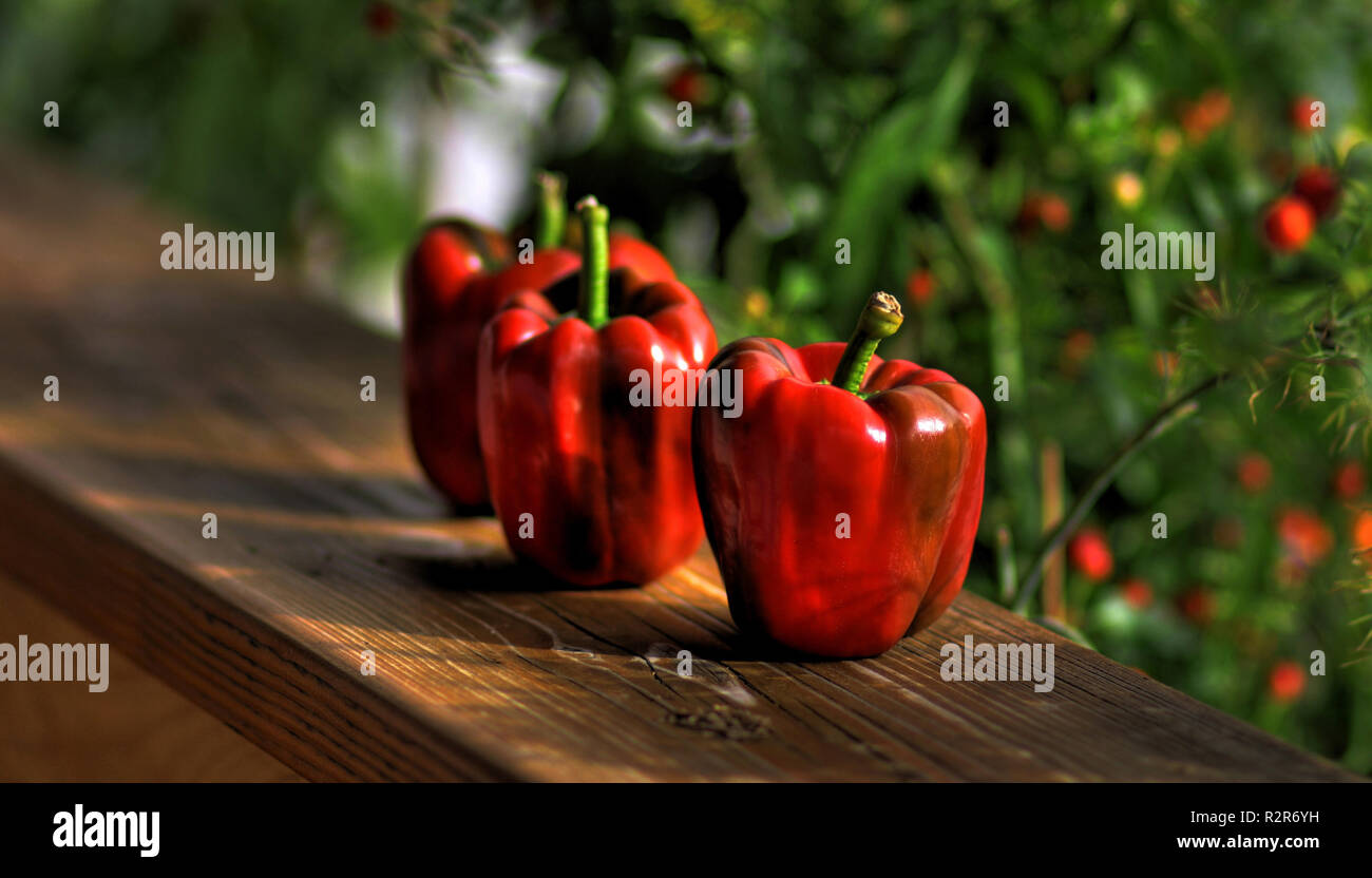 organic peppers Stock Photo