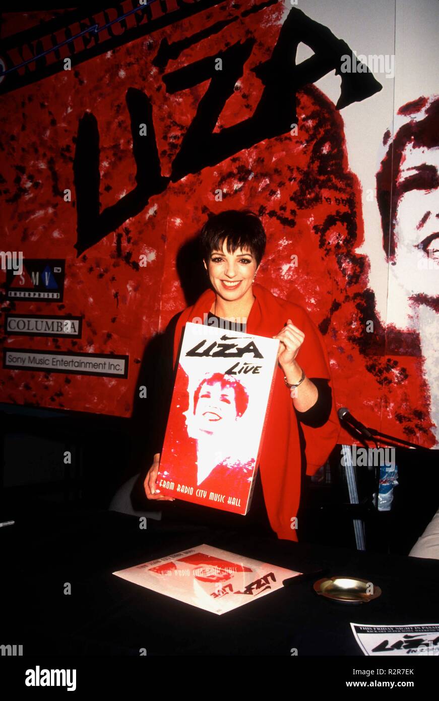 LOS ANGELES, CA - JANUARY 27: Actress/singer Liza Minelli autographs copies  of her new album and concert video 'Liza Live from Radio City Music Hall'  on January 27, 1993 at The Wherehouse