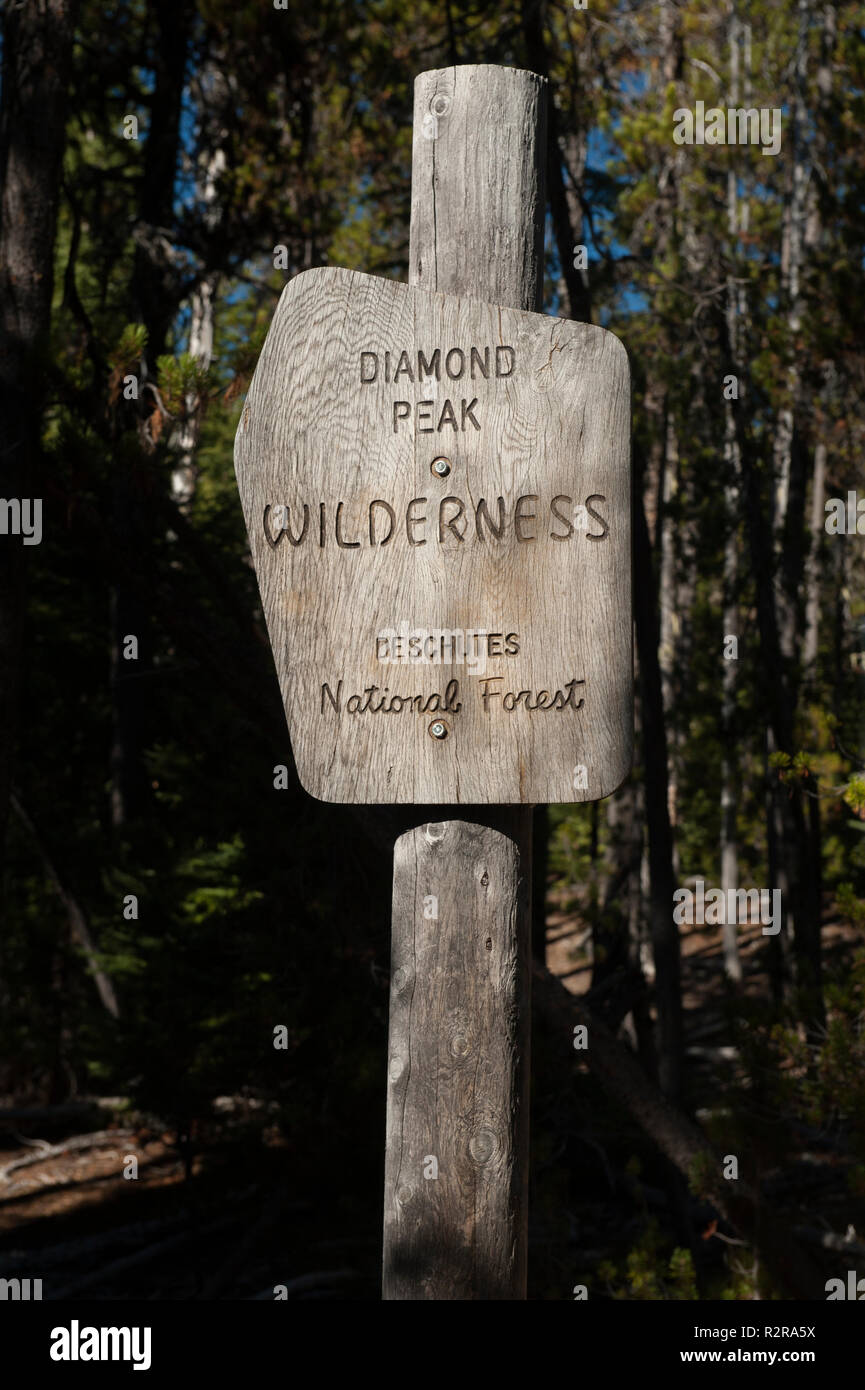 Older-style official US Forest Service wilderness boundary sign.  Carved in wood, unpainted. Stock Photo