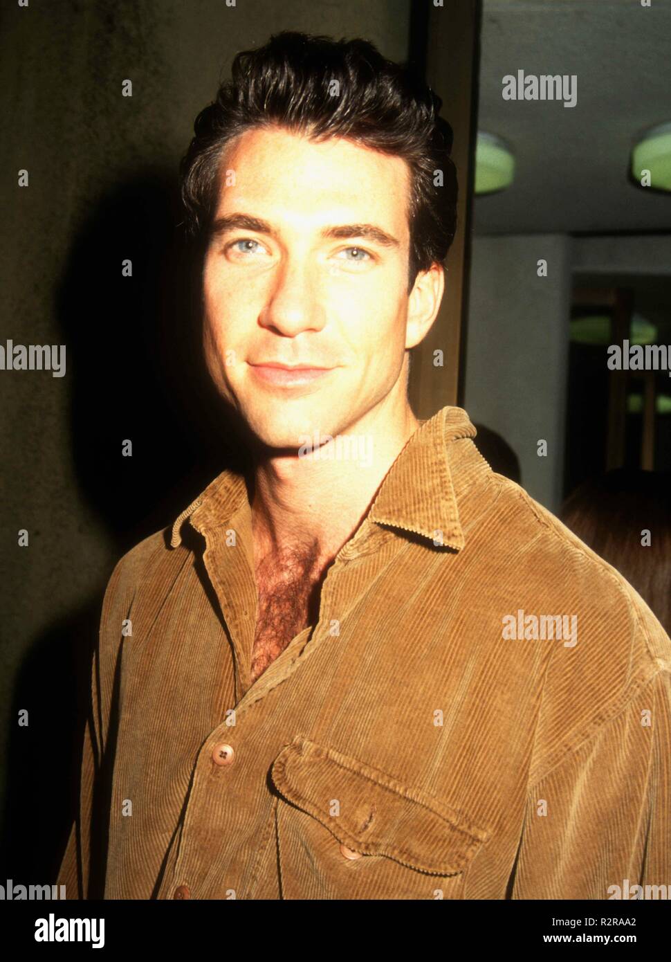 Dylan Mcdermott Young