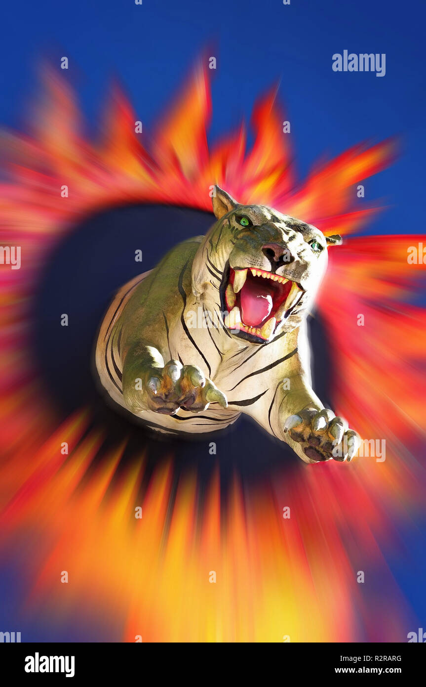 a tiger jumps through the fire tire Stock Photo