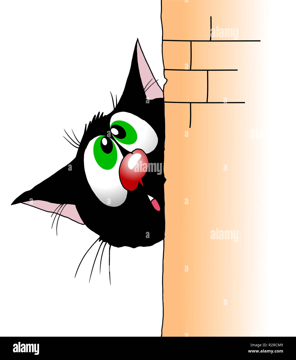 Выглядывающая кошка