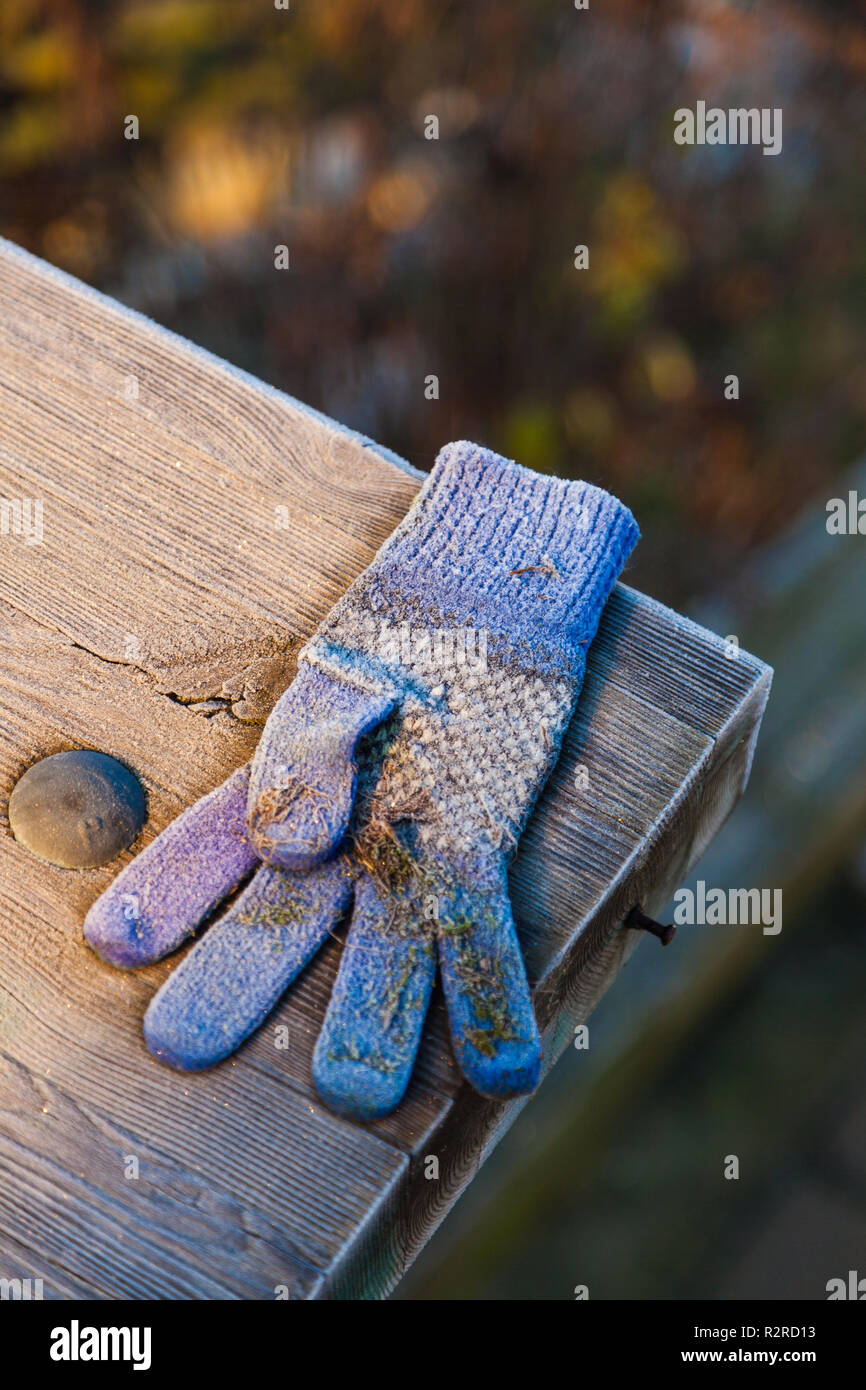 Childs lost glove on a wooden railing on a frosty morning, Stock Photo