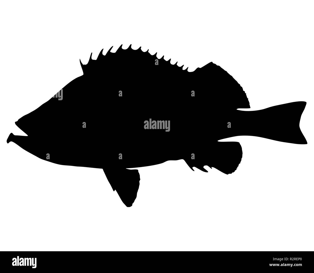 redfish silhouette Stock Photo