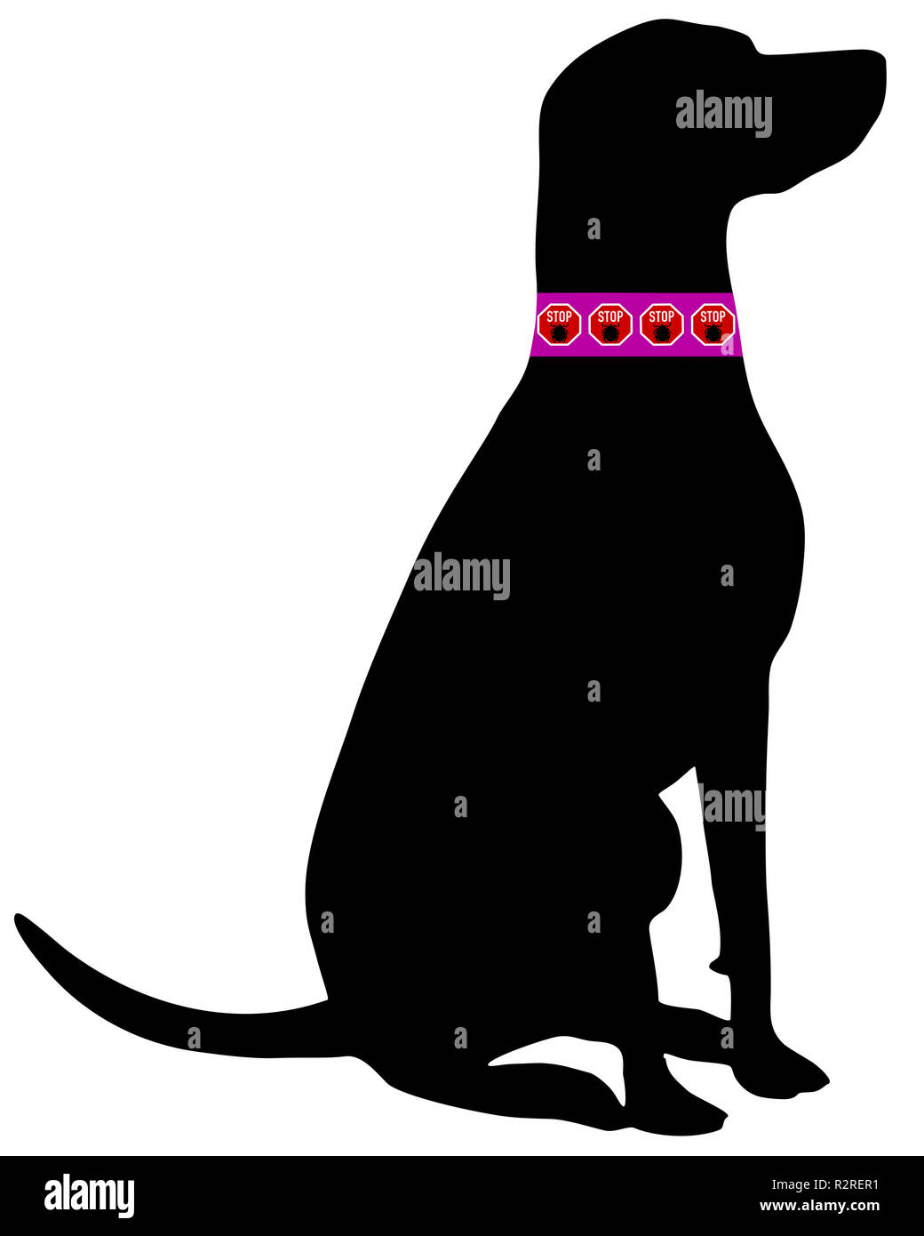 dog tick collar Stock Photo Alamy