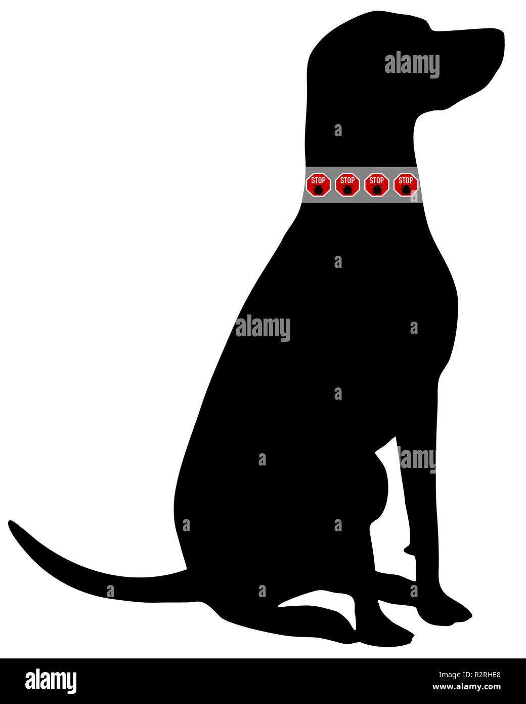 dog tick collar Stock Photo Alamy