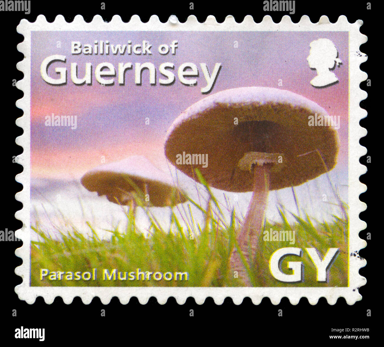 Postage stamps from Bailiwick of Guernsey in the Guernsey Society