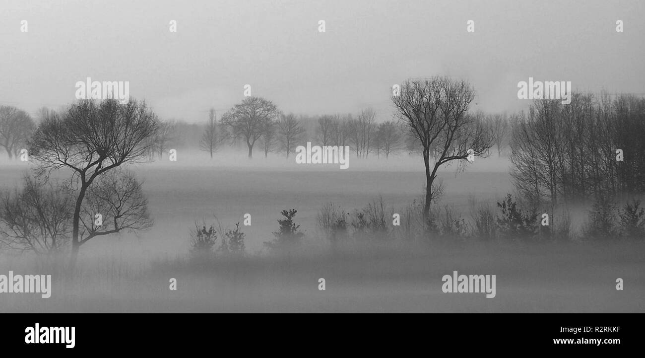 fog in the morning Stock Photo - Alamy