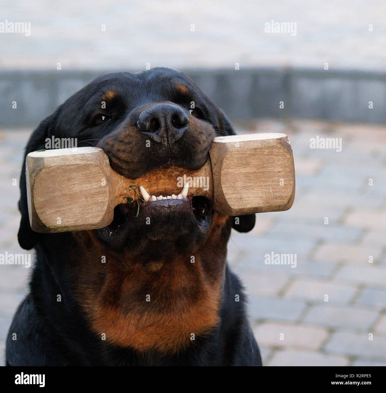 mine-i-no-longer-give-off-stock-photo-alamy