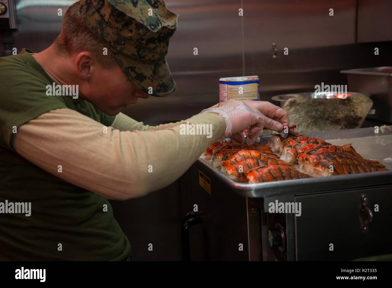 U.S. Marine Corps Cpl. Christian Harry with 2nd Marine Logistics Group