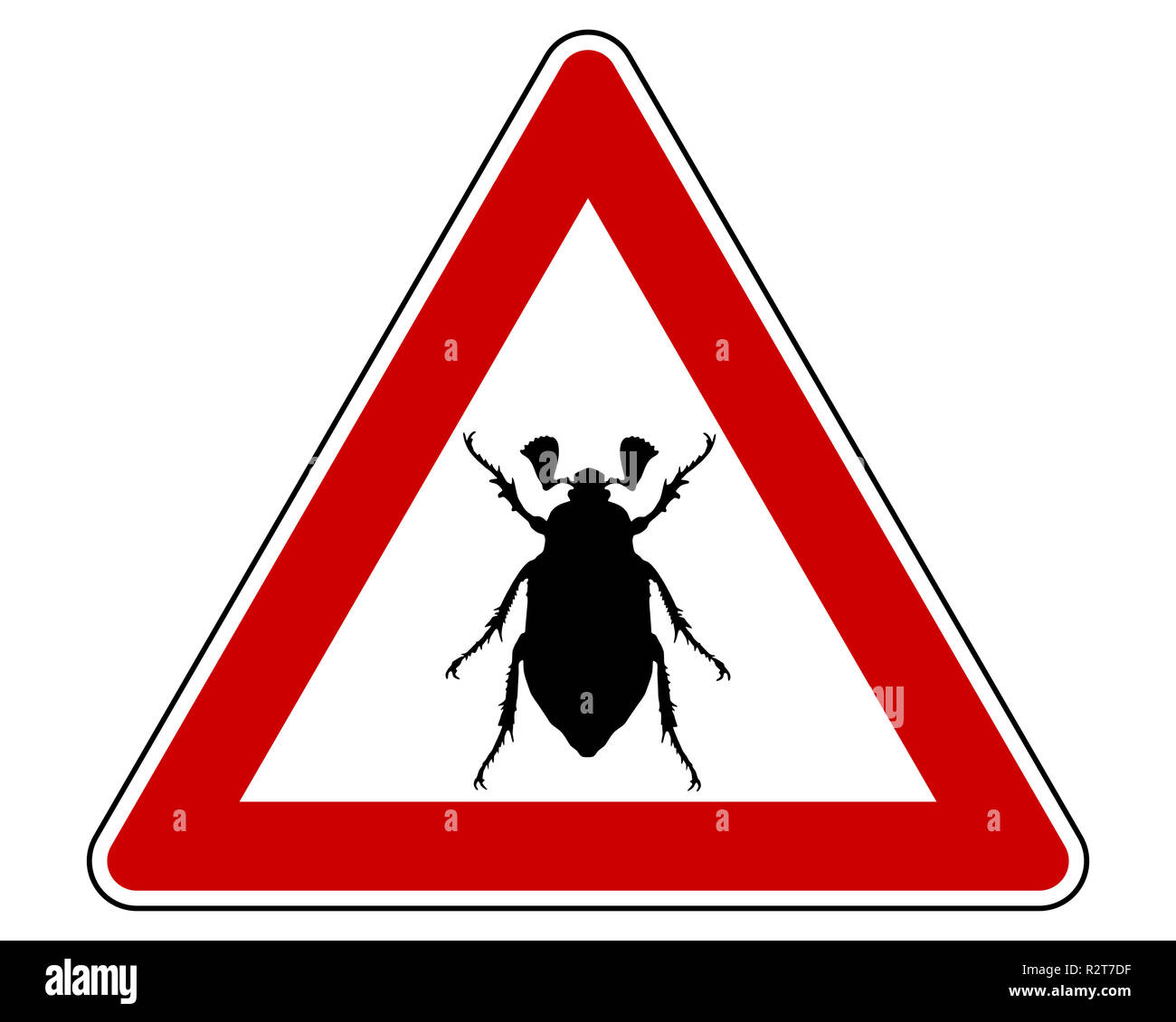 attention cockchafer Stock Photo