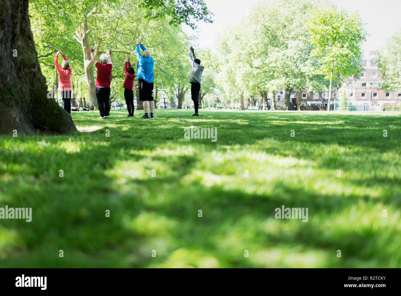 Active seniors exercising, practicing yoga in park Stock Photo