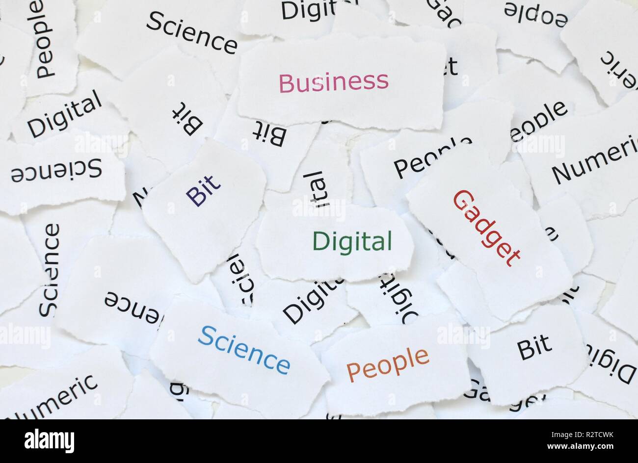 Concept of random little pieces of broken paper printed with words digital, gadget, business, bit, science, people. Background texture symbol Stock Photo