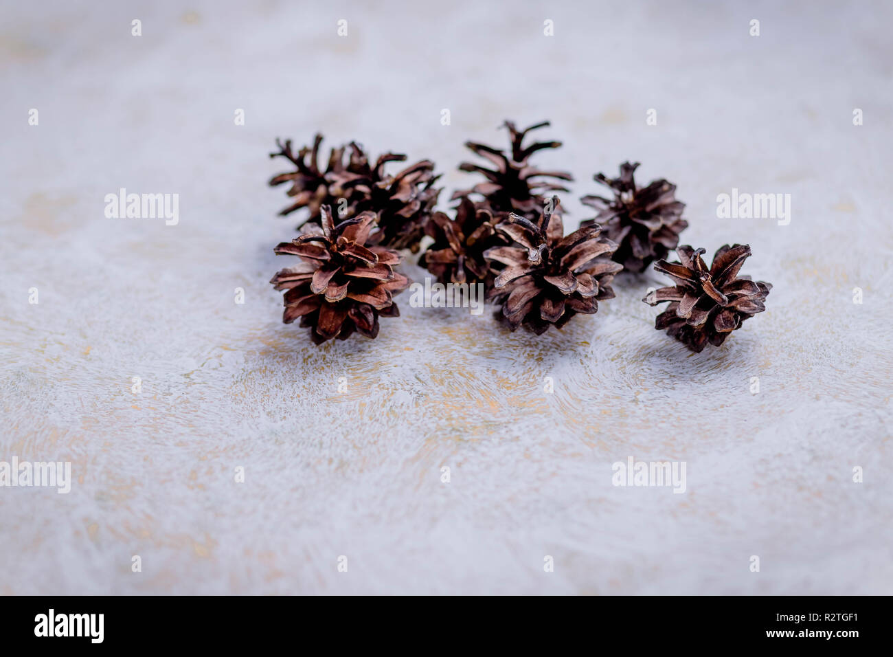 Holiday Preparations Stock Photos Holiday Preparations Stock