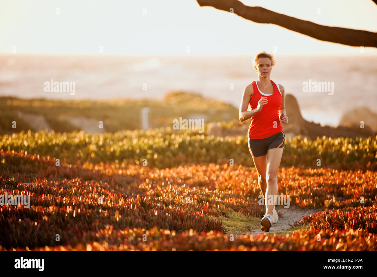 Woman running on a outdoor trail Stock Photo - Alamy