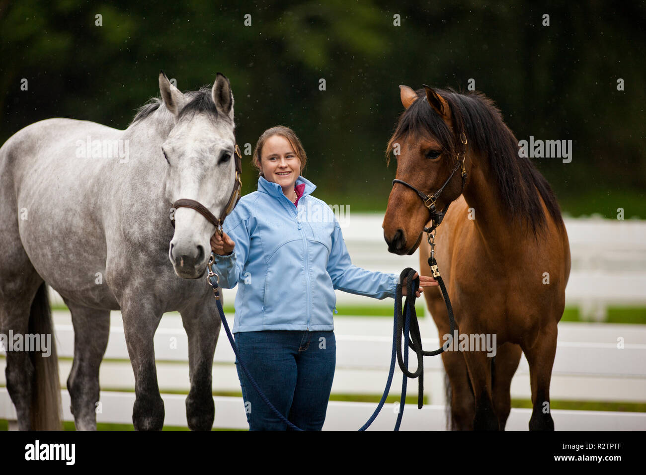 Smiling young woman leading two horses by their bridle. Stock Photo