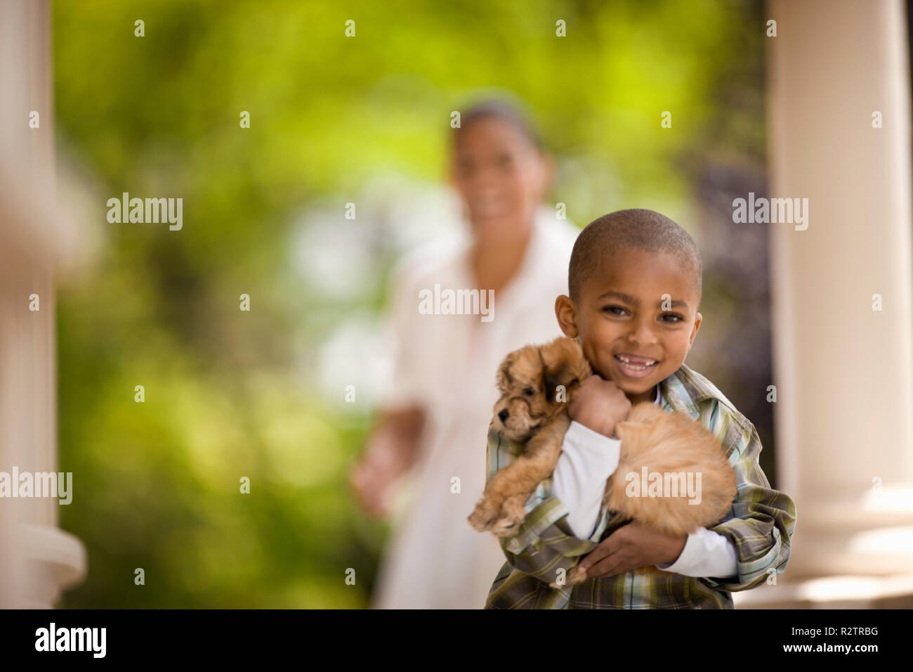 Little boy cuddles a puppy while his mother looks on from the background. Stock Photo