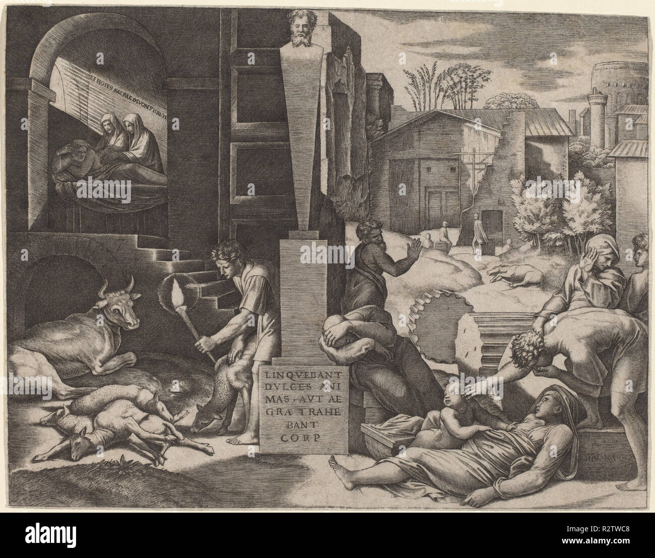 Mark Raimondi Marcantonio raimondi morbetto hi-res stock photography and images - Alamy