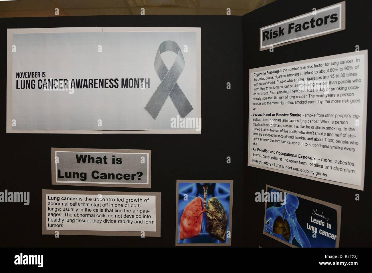 november tobacco awareness month is Lung Cancer Month! November is Lung Cancer Awareness
