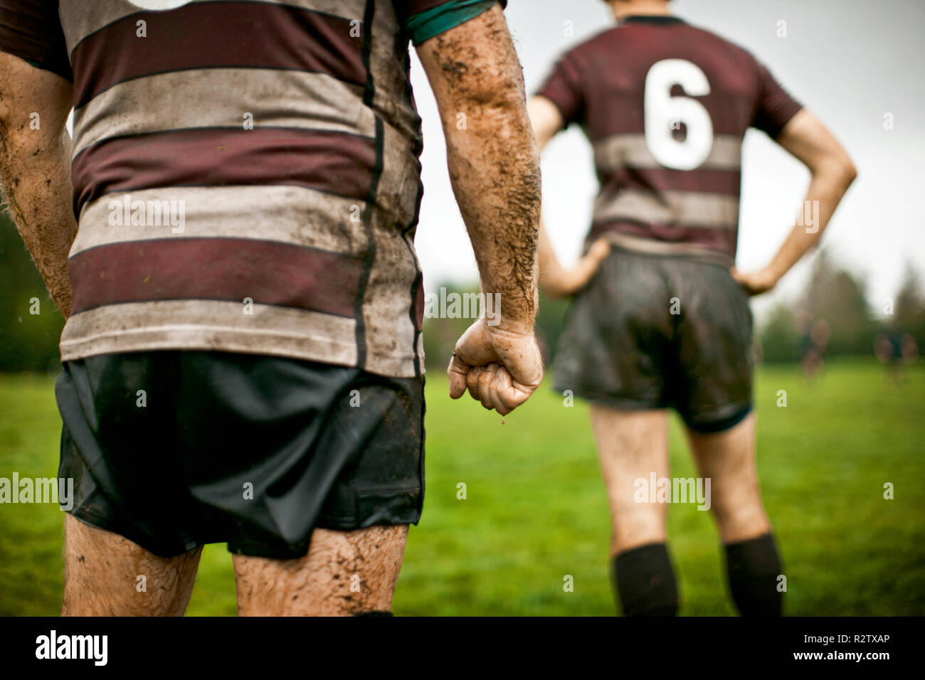 Rear view of two muddy rugby players on the field. Stock Photo