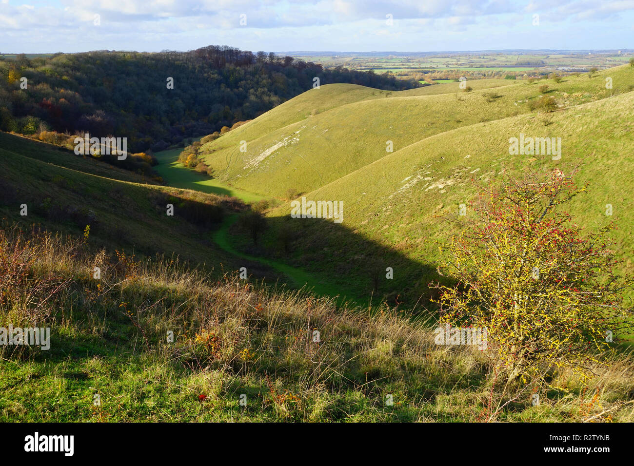 Barton le clay hires stock photography and images Alamy