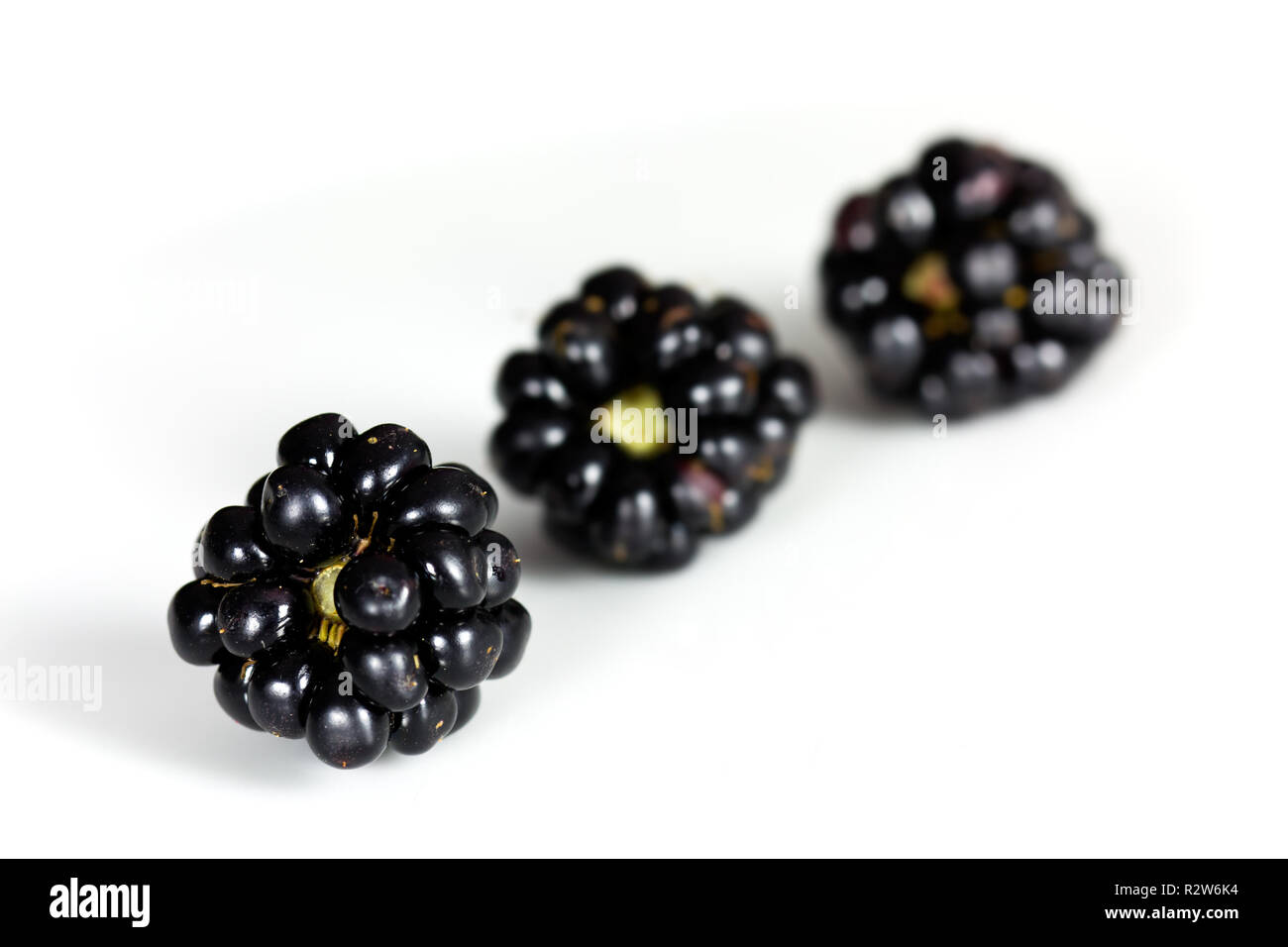 fresh blackberries Stock Photo