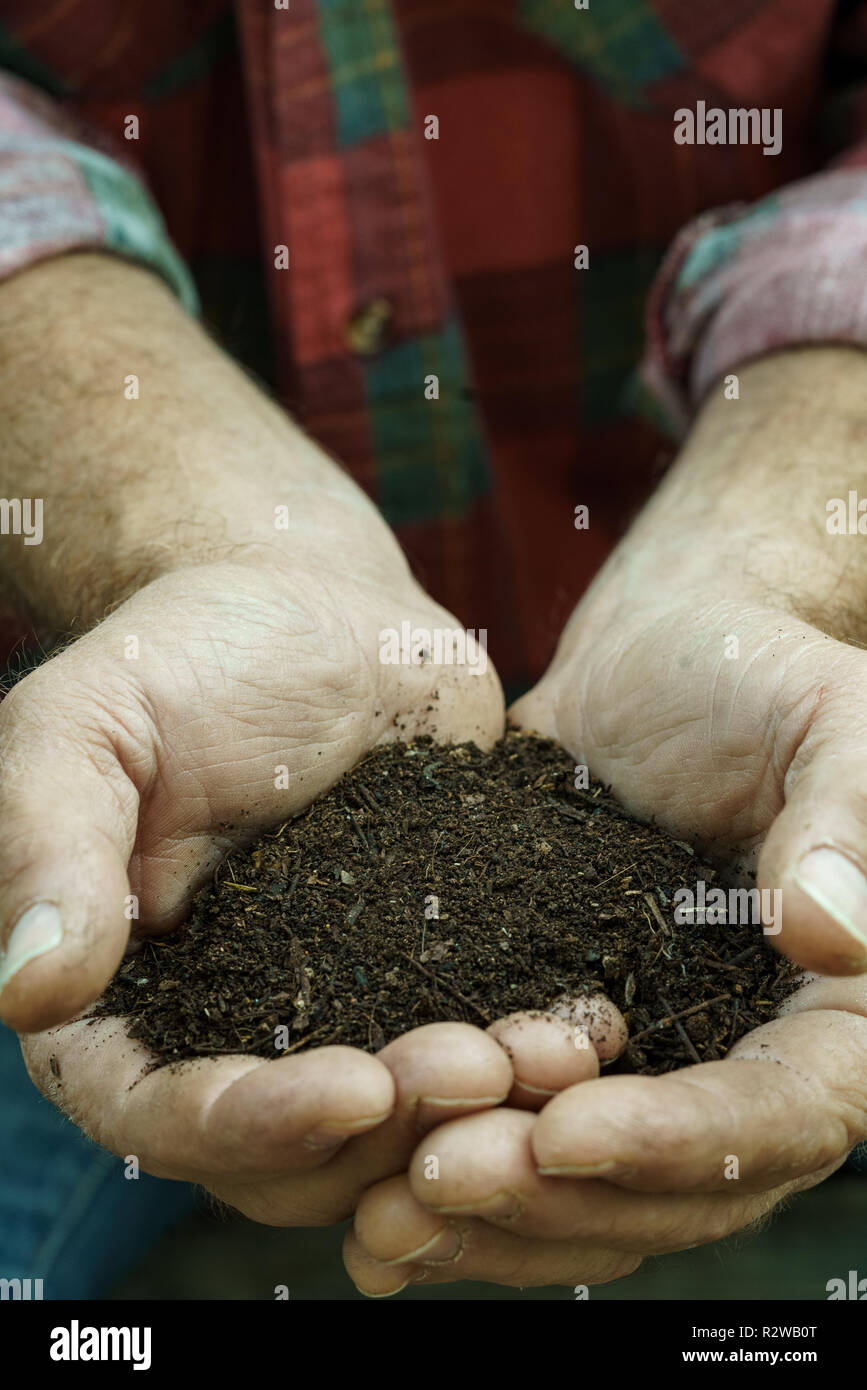 Mans Hands Holding Finished Compost Stock Photo Alamy