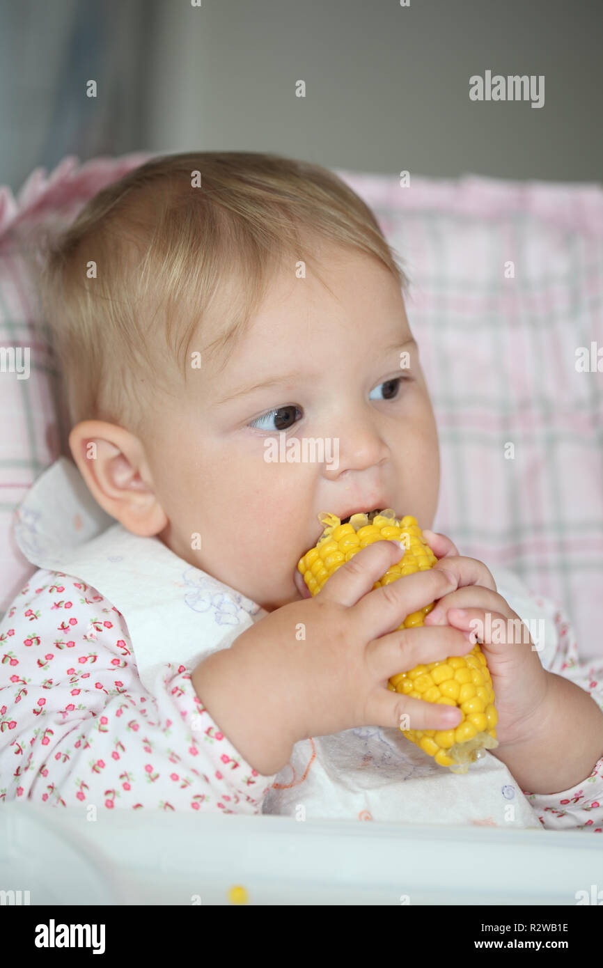 baby eating corncob Stock Photo Alamy