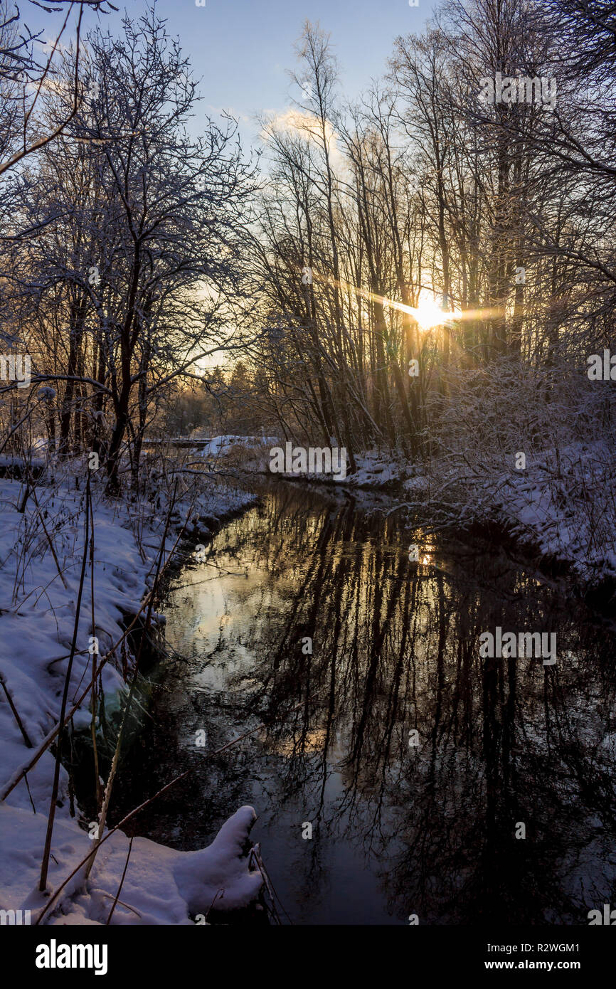Winter park landscape with a river. Russian landscapes. Winter season