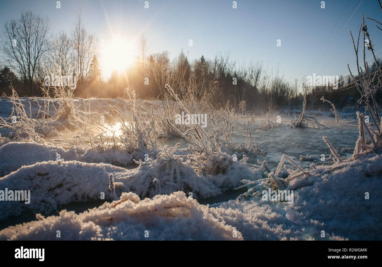 Winter park landscape with a river. Russian landscapes. Winter season