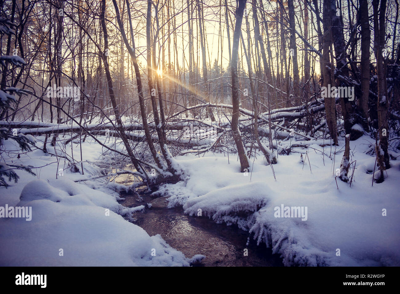 Winter park landscape with a river. Russian landscapes. Winter season