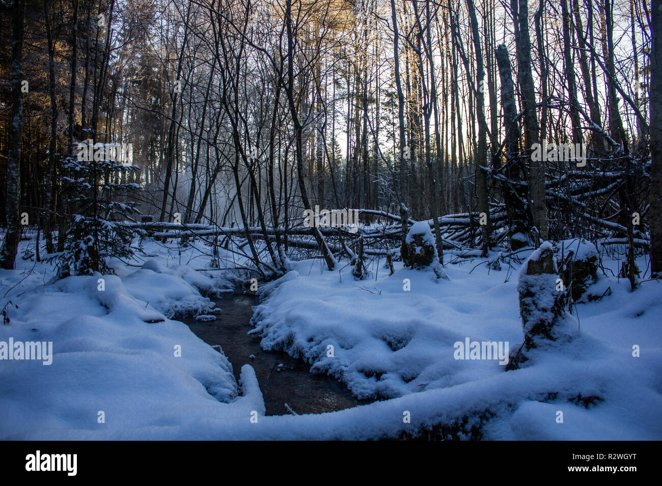 Winter park landscape with a river. Russian landscapes. Winter season