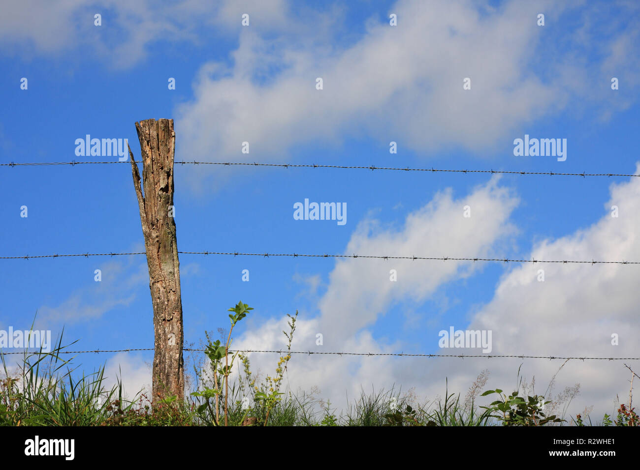 Fencing hi-res stock photography and images - Page 2 - Alamy