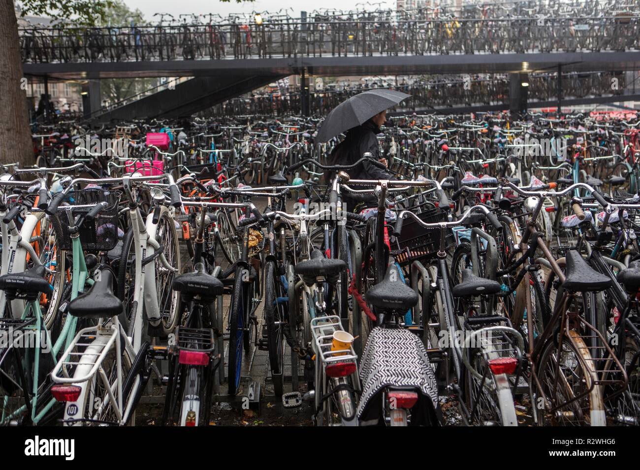 Bicycle parking near Amsterdam central train station Stock Photo