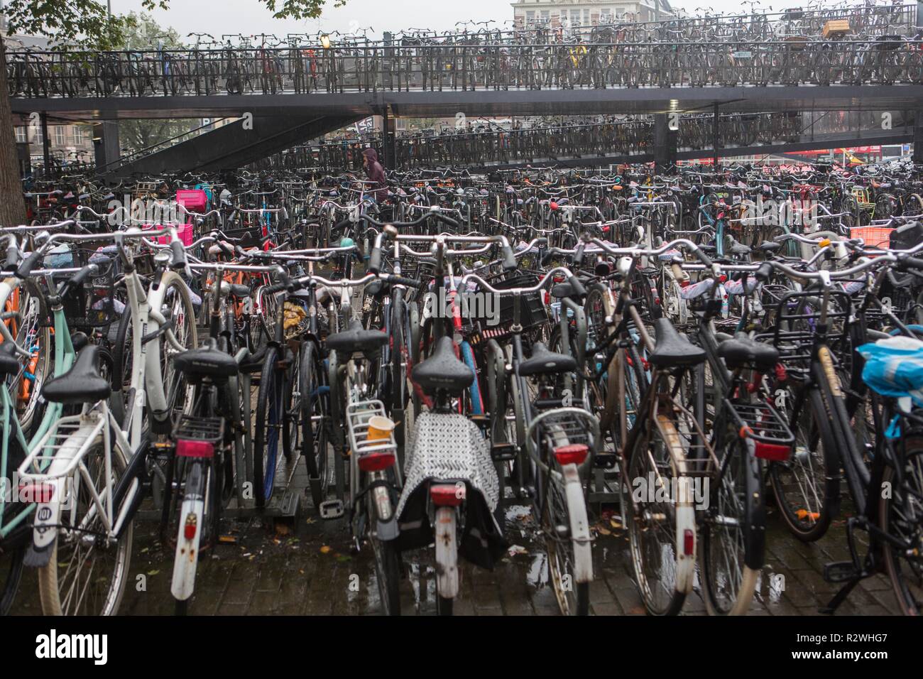 Bicycle parking near Amsterdam central train station Stock Photo - Alamy