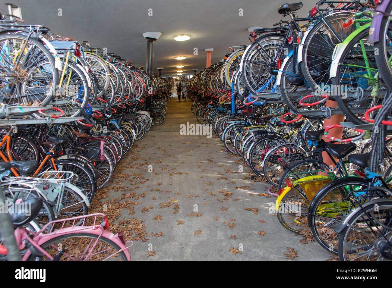 Bicycle parking in Groningen central train station Stock Photo